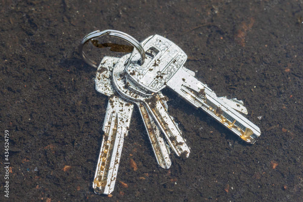 Poster the fallen keys lie in a puddle on the street. opening the doors.