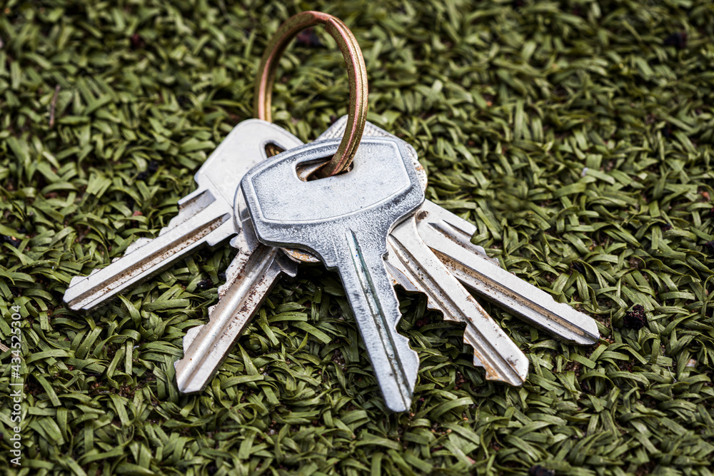 Poster a bunch of keys rests on a green artificial path. don't get home. loss
