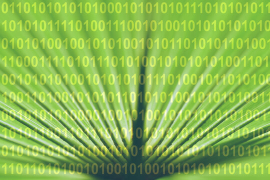 Virtual reality. Binary code of zeros and ones on a green palm leaf background. Concept - Digitising life science. Physiology data. Chartreuse color.
