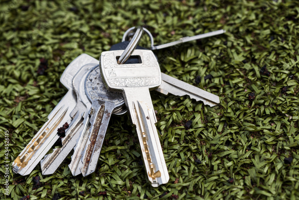 Poster keys lie on artificial grass. don't get home