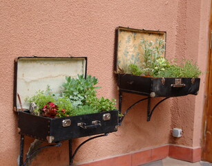 flowers on the wall in the original decor 