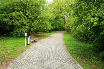 A cobbled path in a city park made of stones
