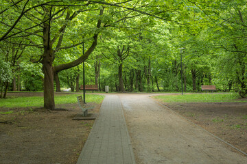 A cobbled path in a city park made of stones