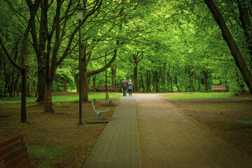 Stone paved road in a green park and elderly people walking in the park
