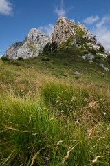 Clouds on top of a mountain in the Apuan Alps in Tuscany.The rock at the top of the mountains contrasts with the green of the meadows and plants. Apuan Alps, Tuscany, Italy. 