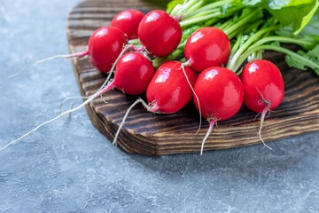 Set with fresh organic vegetables from farm