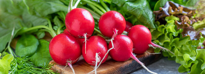 Set with fresh organic vegetables from farm