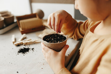 planting herbs at home. 6 years old girl wearing mustard linen dress puts seed in peat container...