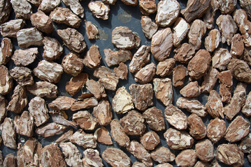 Mosaic pattern from wooden crust