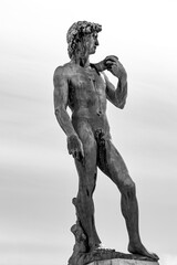 Fototapeta premium La città di Firenze e le sue arti