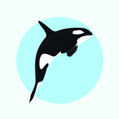 killer whale, orca  flat design