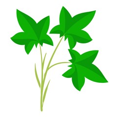 Simple doodle of a plant. Leaf from a tree. Vector illustration isolated on white background. hand-drawn.