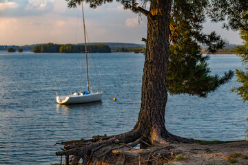 Drzewo Korzeń jezioro łódka