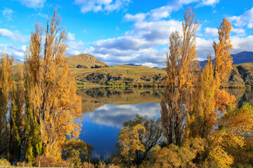 A lake surrounded by beautiful autumn foliage. Photographed at Lake Hayes, Otago, South Island, New Zealand