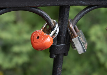 wedding locks in the park close up
