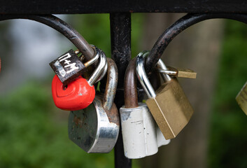 wedding locks in the park close up