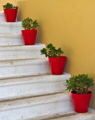 Naklejka premium red pots with green flowers on white stairs. conceptual artistic design 