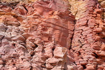 decorative wall of natural origin