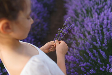 Fototapeta premium girl in white with lavender bouquet