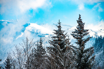 Tourist Attractions in France Winter