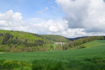 Fototapeta premium Landschaft