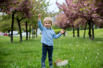 Blond toddler child, cute boy in casual clothing, playing with soap bubbles in the park