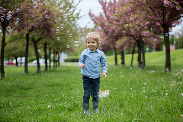 Blond toddler child, cute boy in casual clothing, playing with soap bubbles in the park