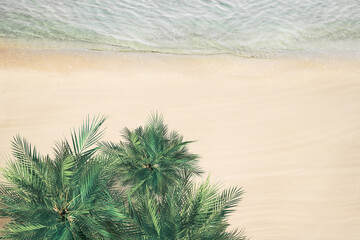 Top and aerial view on tropical sand beach, palm tree and sea. Ocean coastline. Drone photo. Background