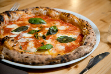 preparation of various Italian pizza