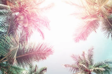 Kokospalme auf dem Himmelshintergrund - Retro-Stil-Bild © photolink