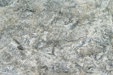 background texture of grey stone