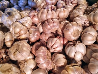 pakistan kino oranges isolated on white background