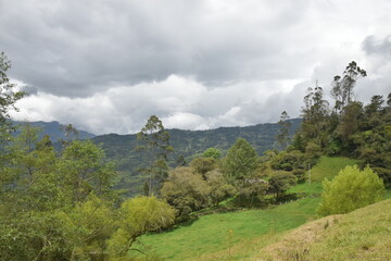 Paisaje natural con arboles y nubes blancas, monta&ntilde;as y potrero verde 