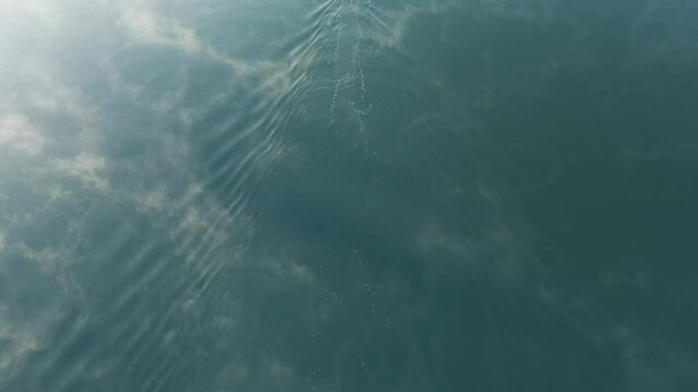 4K Drone footage of young  Indian kayaking in a misty lake in Kotagiri, Nilgiris, Chennai Tamil Nadu, India 60FPS for slow motion