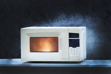 Microwave oven burns, house fire due to improper operation, spontaneous combustion of faulty appliances