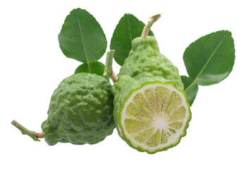 Kaffir lime fruits isolated on white background