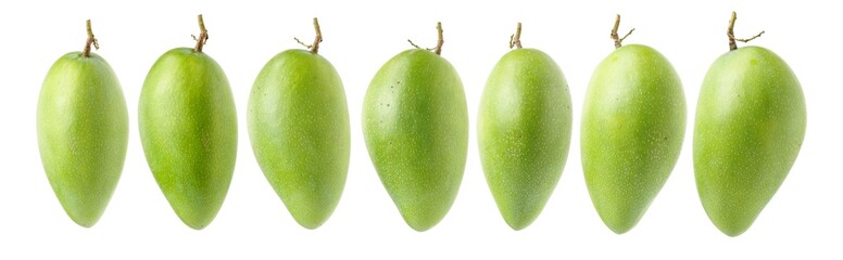 mangos on a white background 