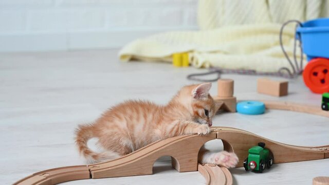 cute little ginger funny kitten cat playing at home in the nursery with children's toys paravoz on a wooden railroad. High quality 
