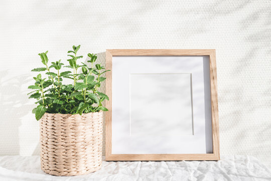 Wooden square frame and mint plant on white table.