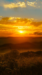 The force of the sunset