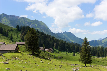 Berglandschaft in der Schweiz (Appenzell, Alpstein, S&auml;ntis)