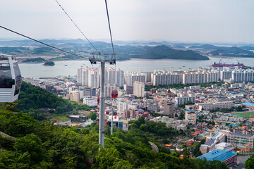 The cable car passes over the forest