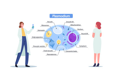 Female Scientists with Test Tube Learning Plasmodium Parasites Anatomy. Tiny Microbiology Doctor at Huge Infographics