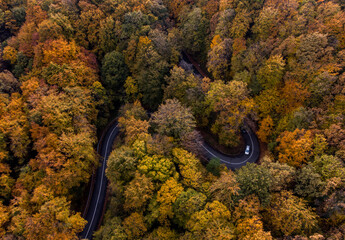 Obraz na płótnie Canvas Aerial view of curvy road in beautiful autumn forest. Top view of roadway with autumn colors. Road on Fruska gora mountain in Serbia,Vojvodina