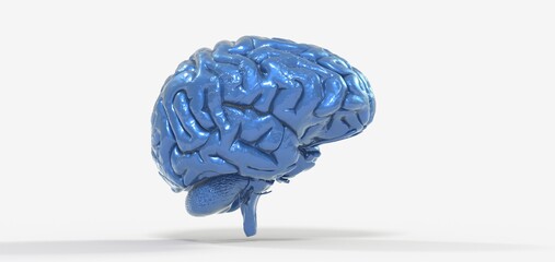 Colorful polygonal 3D brain illustration on BG.