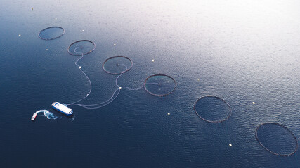 Salmon fish farming in Norway sea. Food industry, traditional craft production, environmental conservation. Aerial view of round mesh for growing and catching fish in arctic water surrounded by fjords - obrazy, fototapety, plakaty