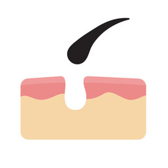 Hair icon. Hair on human skin Hair care concept Solve the problem of hair loss.