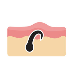 Hair icon. Hair on human skin Hair care concept Solve the problem of hair loss.