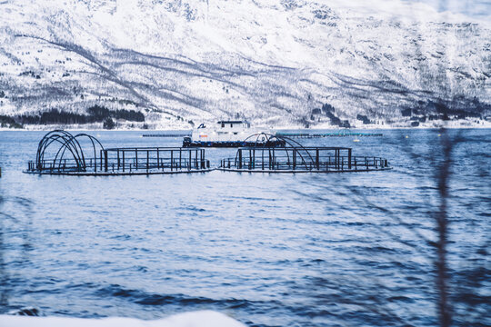 Picture of scenic calm sea water and industrial place for fishing in nordic environment, wanderlust cold destination with salmon farm in lake near fjords