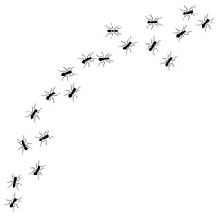 Ant vector trail marching illustration. Ant bug pest control background teamwork